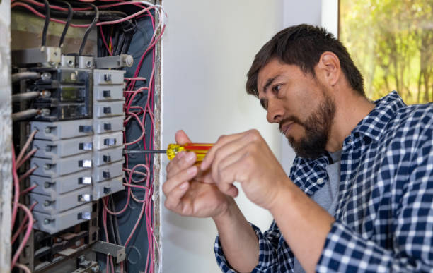 Best Electric Panel Repair  in Caruthersville, MO